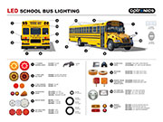 FMVSS School Bus Poster